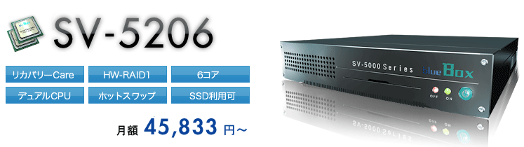 料金・仕様 | SV-5206 | サーバー | 専用サーバー【blue Box】
